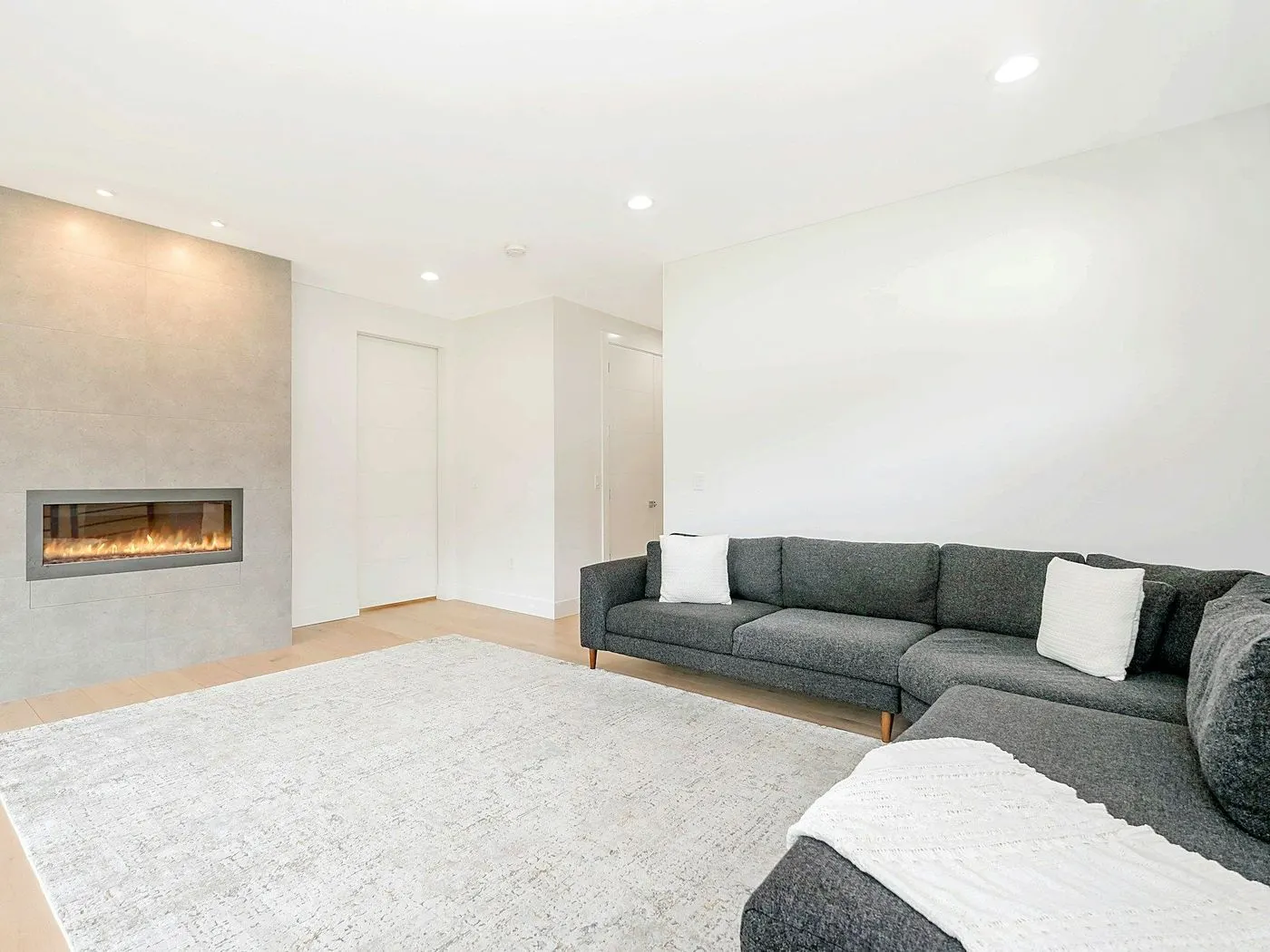 Bright living room with a large light rug and a gray sofa